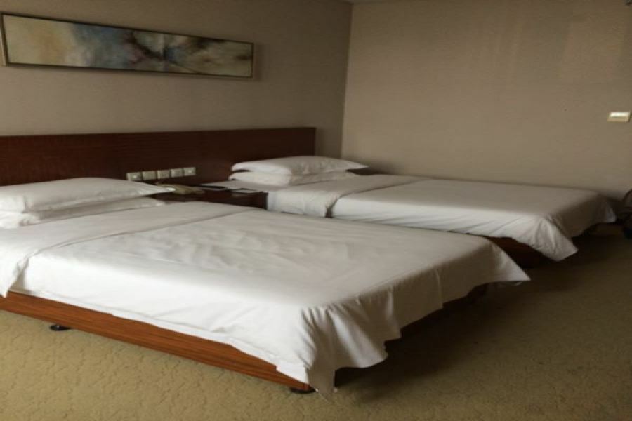 Nanjing Expo Center Hotel Dış mekan fotoğraf